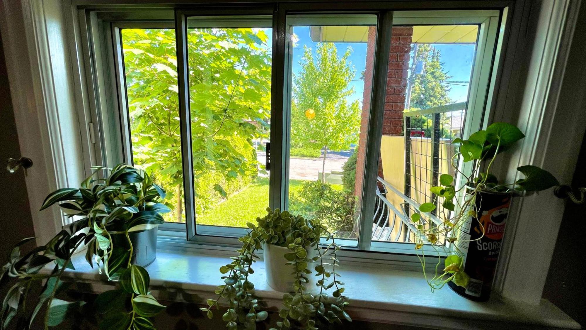 Glengrove Cozy Home Toronto Luaran gambar